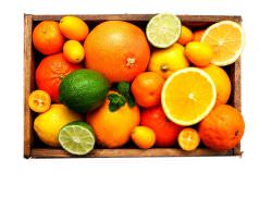 Gastronomiashop Design  Citrus Fruit Large Box is a product on offer at the best price